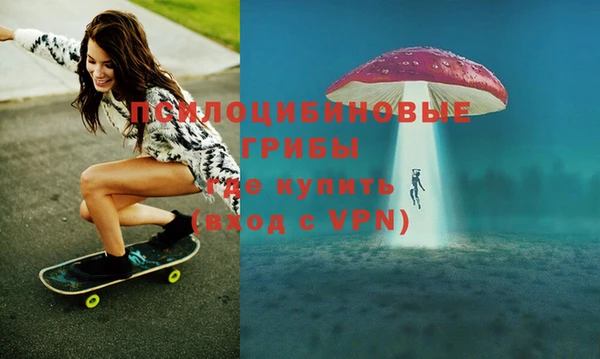 эйфоретик Алексин