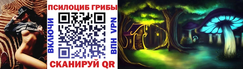 купить наркоту  Алзамай  Псилоцибиновые грибы MAGIC MUSHROOMS 